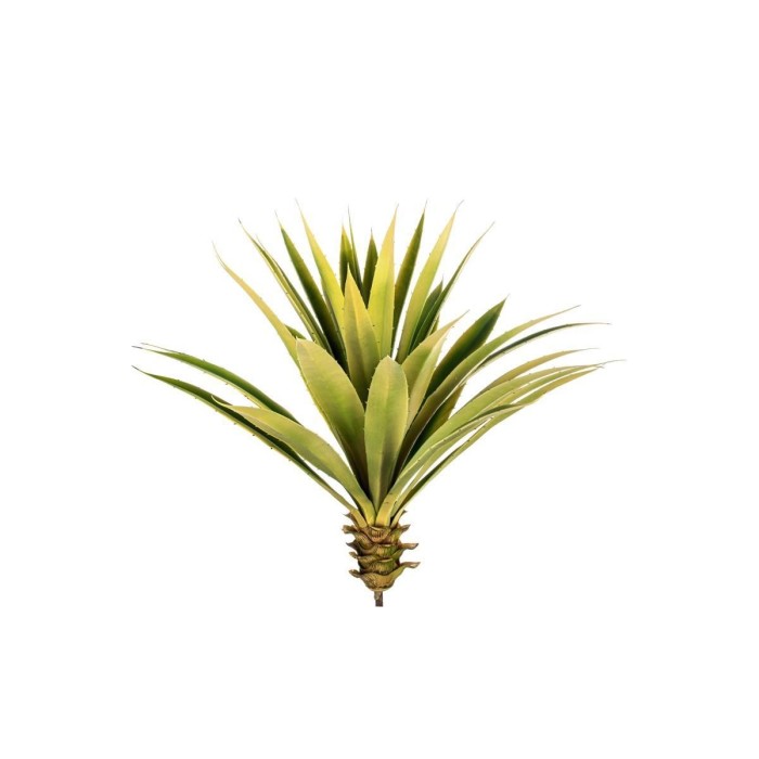 AGAVE H60 GREEN